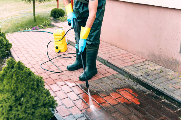Best Sidewalk and Walkway Cleaning  in Palos Heights, IL